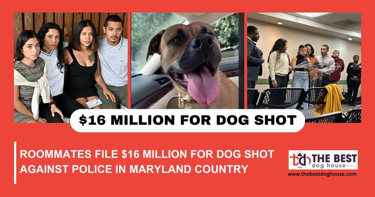 Roommates File $16 Million for Dog Shot