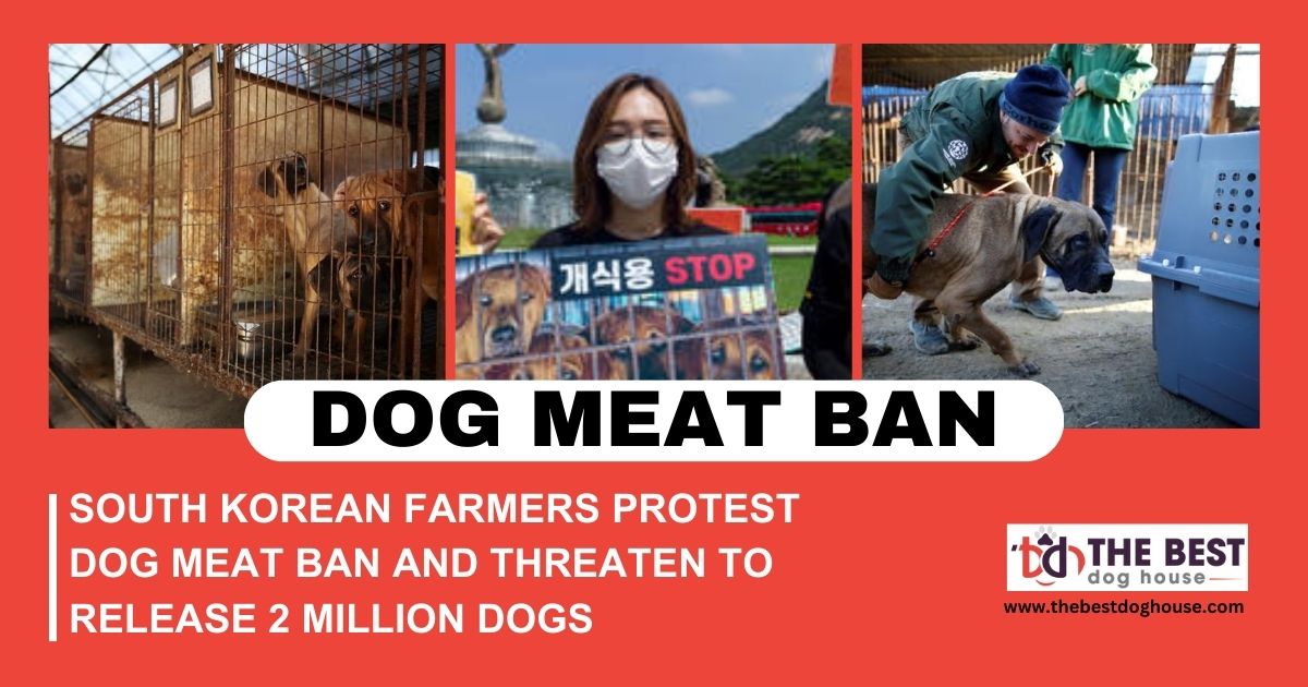 South Korean Farmers Protest Dog Meat Ban