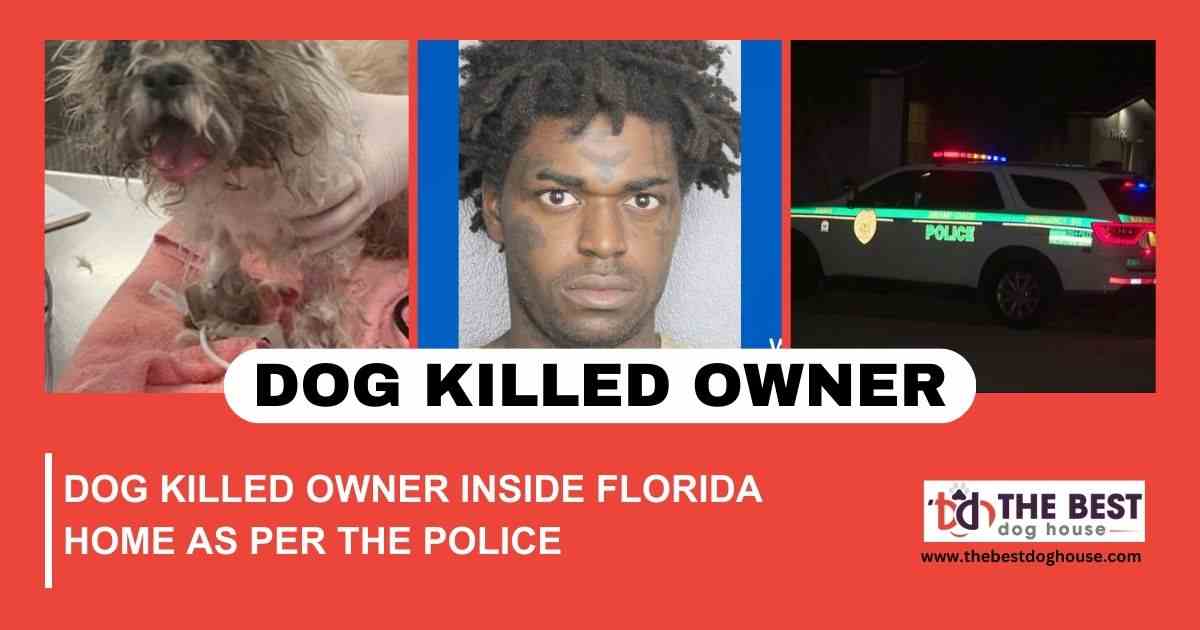 Dog Killed Owner Inside Florida Home As Per The Police