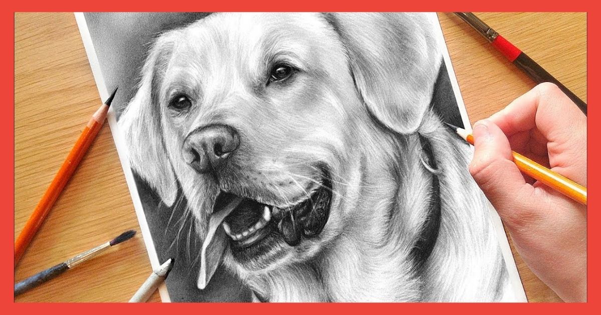 how to draw a dog realistic