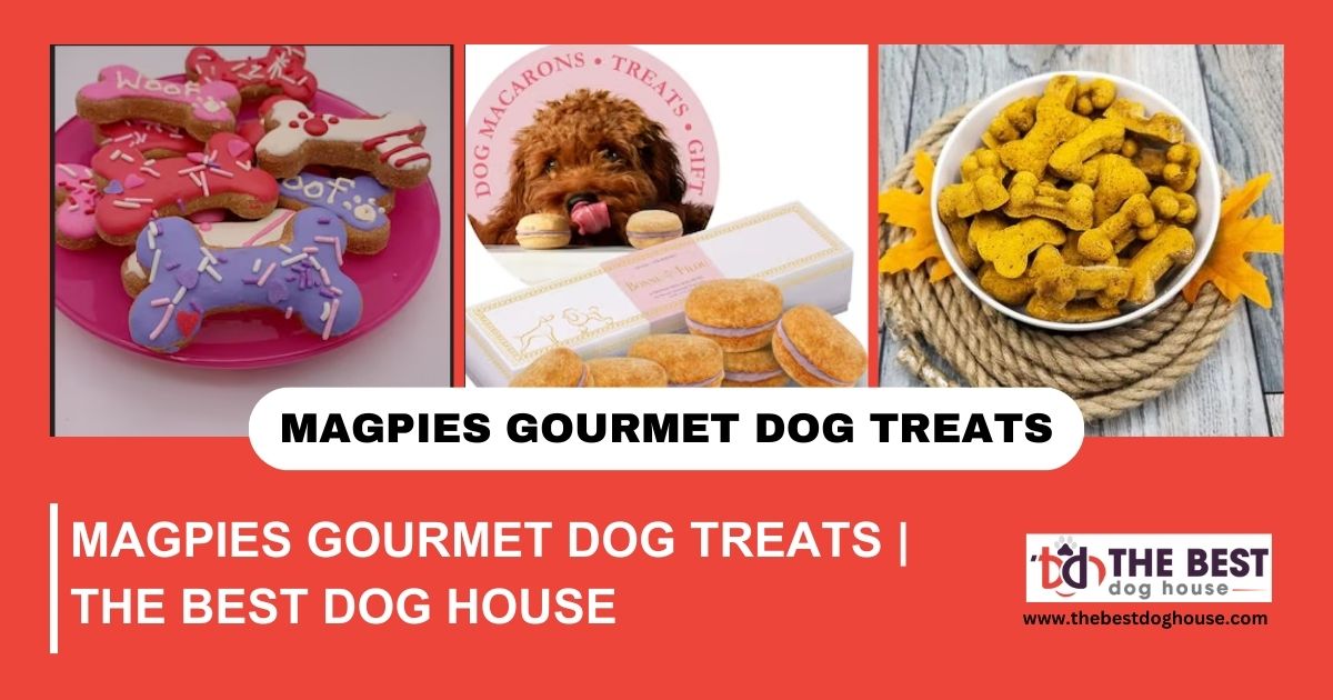 magpies gourmet dog treats
