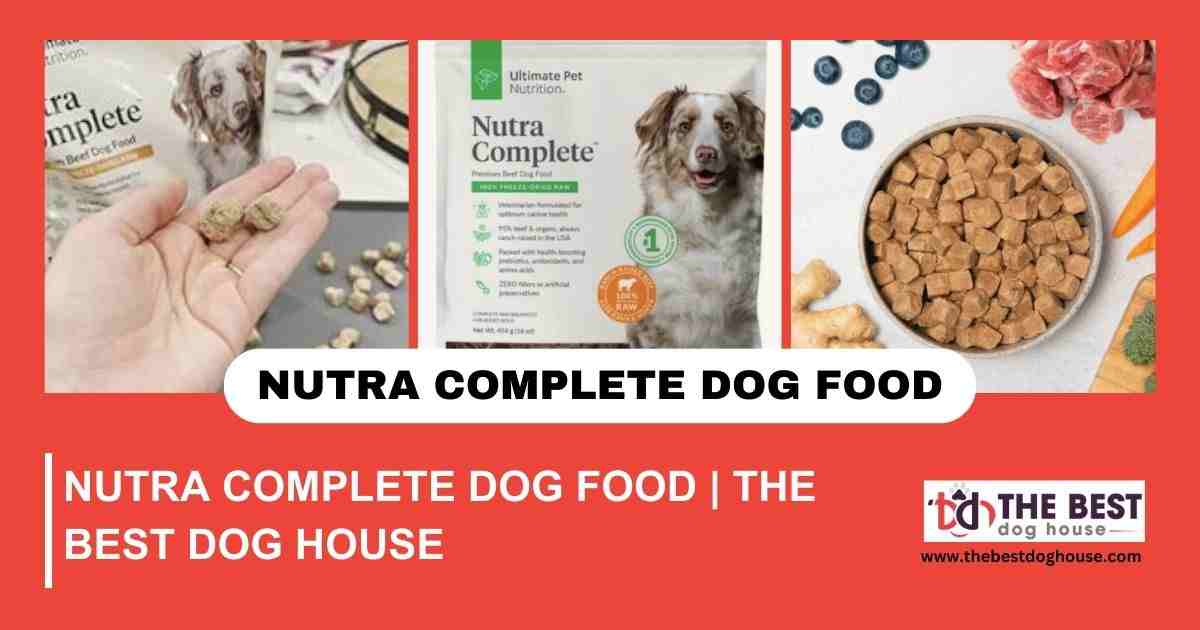 Nutra Complete Dog Food | The Best Dog House
