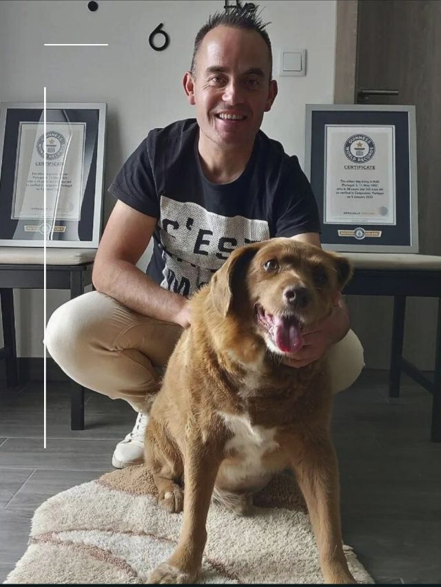 Guinness World Records suspends Bobi’s ‘oldest dog’ title