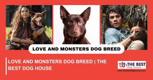 Love And Monsters Dog Breed | The Best Dog House
