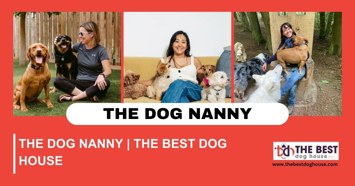 The Dog Nanny | The Best Dog House