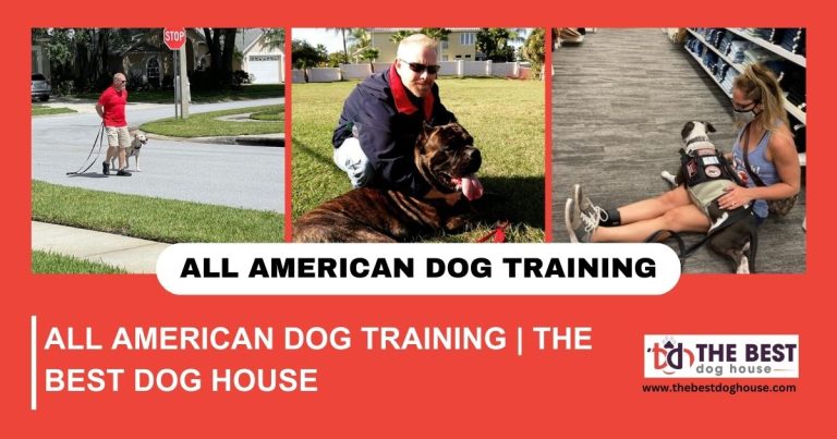 All American Dog Training