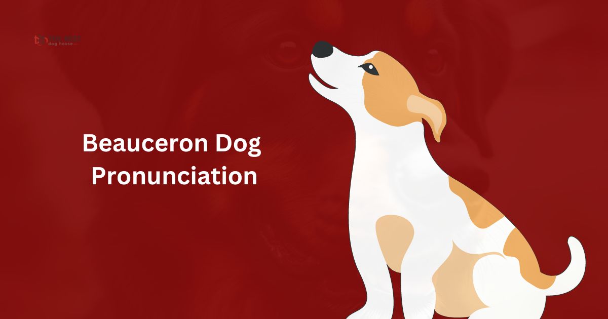 Mastering the Beauceron Dog Pronunciation: A Guide for Dog Lovers