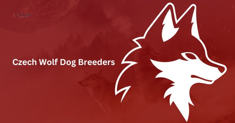 Czech Wolf Dog Breeder