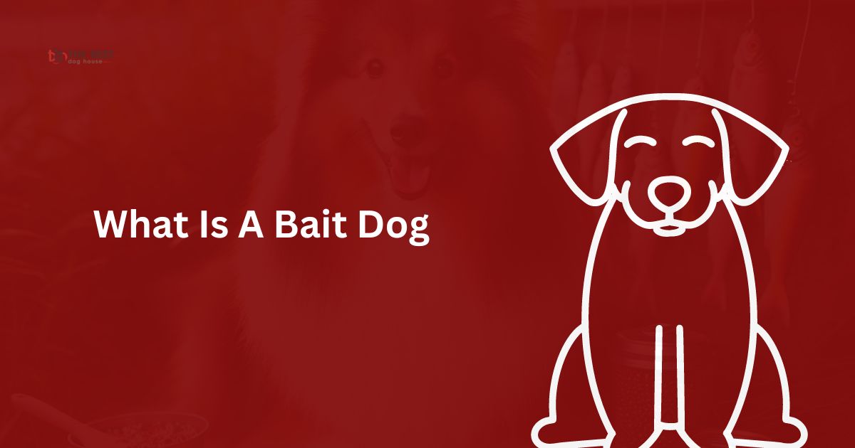 Understanding What Is A Bait Dogs: What They Are and How to Help